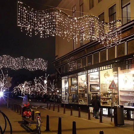 Spacious At Park And Museum * Amsterdam